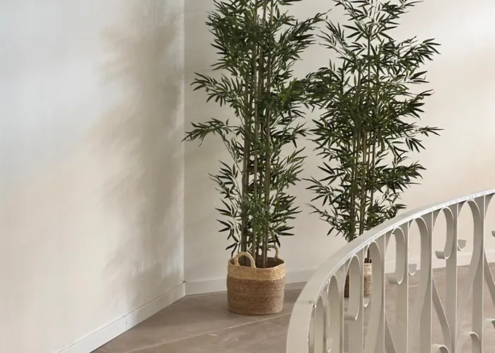 Appartement Boutique Córdoba